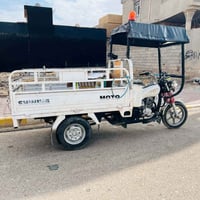 ستوتة • ٢٠٢٠ • شرط