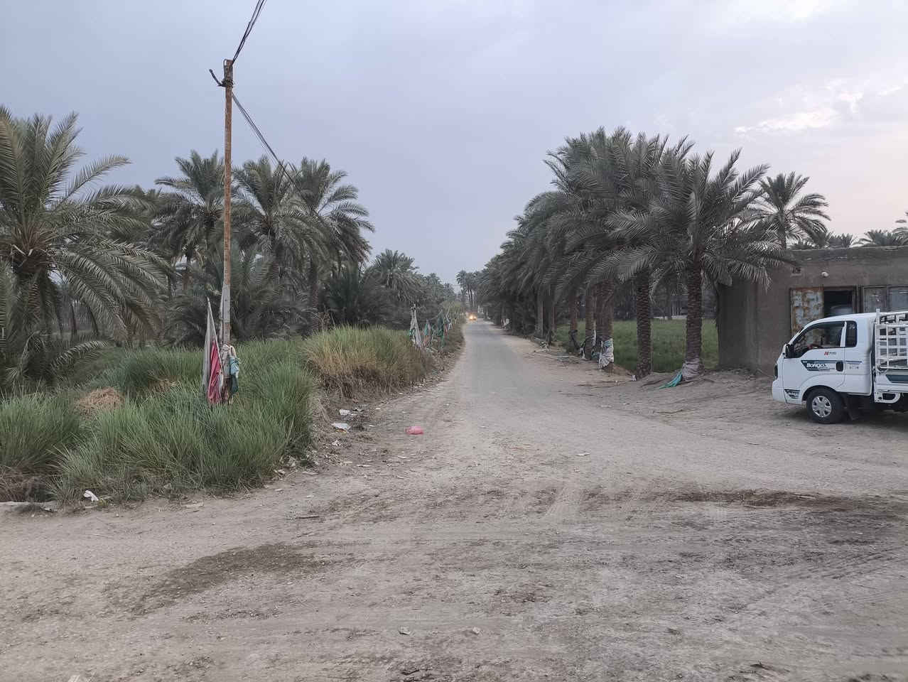 ٦ دونم ونص • ١٠٠+ نخلة • بين السده وطويريج