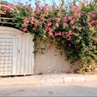 كربلاء • حي العسكري • ٢٠٠م