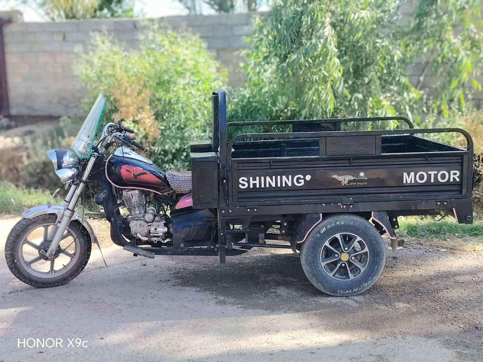 ستوته • نضيفه • اوراق كامله