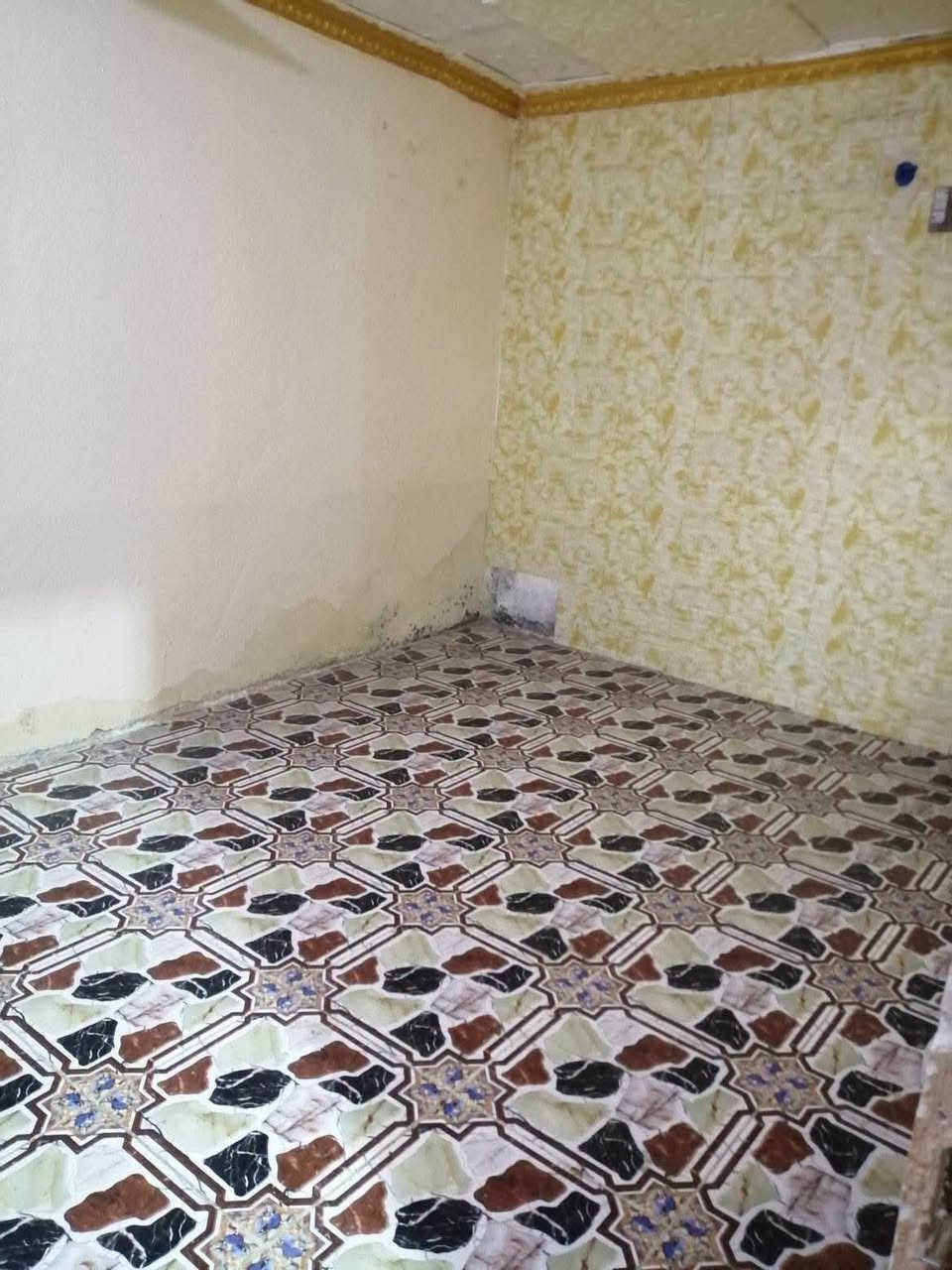 مكلف بلنشر بيت زراعي للايجار بلمهيديه بشارع الجامع سعيد بن جبير ٣فرع عل يسار مساحه 125 غرفتين وصاله ومطبخ وصحيات باقي التفاصيل خاص او واتساب رجاء ***********
