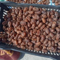 تمر شوثي • خشن