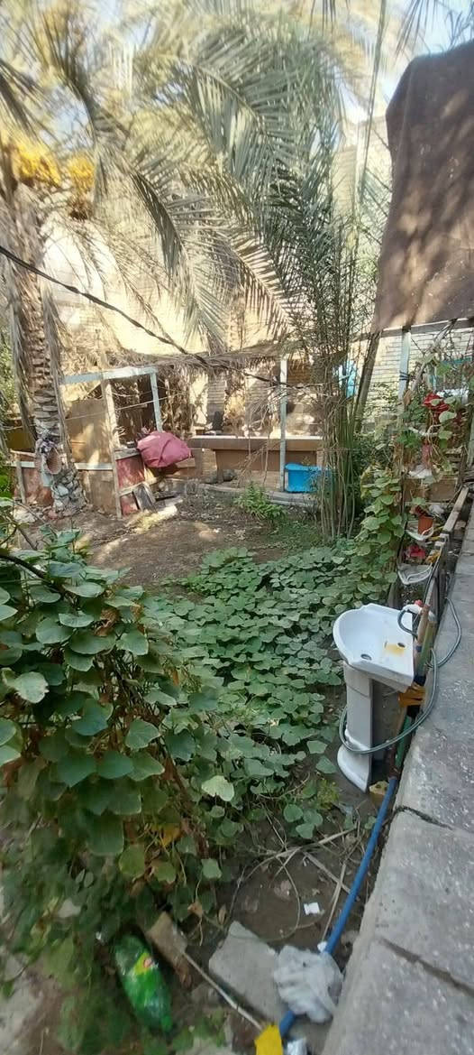 حي العباس • ٢٥٠م • واجهة ١١م