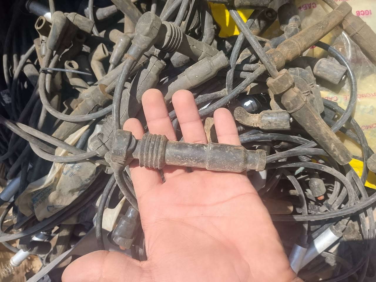 دايو نوبرا • توصيل • واتساب