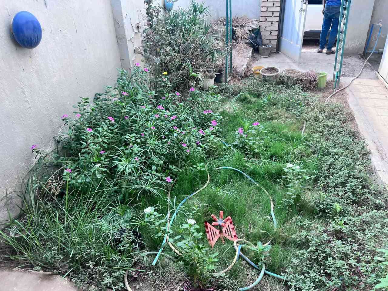 بيت للإيجار • ١٦٠م • حله طياره