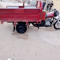 ستوته • موديل 14 • اوراق باسمي
