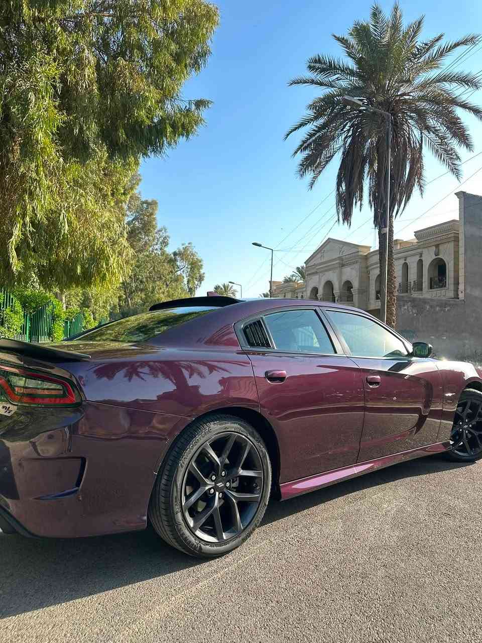 جارجر 2022 rt 5700 super track pak
Black top 
هزة جديدة 
كشن السايق كهرباء 
كشنات حضن مخمل
تدفئة بالمراية الجانبيه 
مرايا جانبيه سود بلادي 
شفقة جامة خلفية
شاشة جبيره كار بلي 
كروس مثبت سرعة
دكمة سبورت + super track pak
ماشية 50 mi
(بدون صبغ بدون تبديل بدون pdr)
جاهزة من كلشي وعليه بولش و نانو سيراميك جديد 
لد انارة داخليه متغير
لد ترحيب بلابواب R/T
دخول ذكي 
عليهه دبات سود بلادي + slp كورسا 
دفيوزر مشيف
شفقة خلفيه 
عليه اويل كاج كان 
السياره ستوك بدون برمجة بلاديه بالكامل
+دفيوزر احتياط مشيف أنكر
+ دركة عمل كاربون فايبر مضلع

: هزه جديده سنوية جديده 
مكاني  بغداد السيدية 
بأسمي السياره تحويل ثاني يوم 
 
السعر / 273 $ ورقه وبيها شي بسيط

***********
