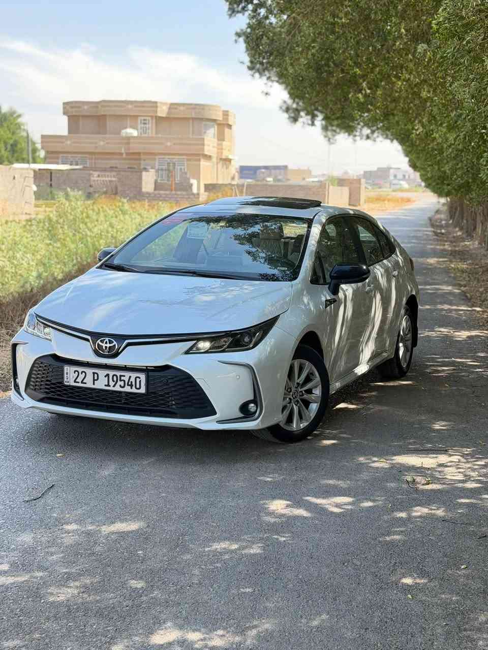 كورلا • ٢٠٢٥ • رقم اربيل