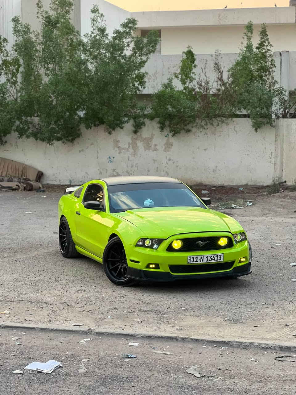 سلام عليكم
مكاني بغداد *********** 
السعر ٩٥$ وبيهة مجال...
موستنك ٢٠١٣ 
تغير لون صبغ عام 
محرك ٣.٧ وكير واكسل بلكارتون مال حاوية
برمجة بوب كورن وطلقات وصرفية بانزين
اكس بايب-داون بايب-دبات
تدفئة-تبريد شرط ثلاجة
 حادثهة جاملغ وبنيد
 وبيهة سحب بسيط كلش مقدمة( الشاصي الايمن واطراف الجسور مال لغد من فوك)بدون لحيم ولا تعمير بس سحب
ويل فيرادا ٢٠
دعاميات شيلبي 
لحية وشبابيج RTR
دفيوزر شيلبي
سبايدر شيلبي
سكوبات خلفية
لدات تكساس 
انارة محيطية متغير زرع
مازدات تغير لون وترحيب كلش حلوات 
وبعد بيهة تفاصيل بلصور واضحات
نقوصات بيهة متجاوز ل١٠٠ الف 
الي ابيعلة عقد مرور كبل كون بسبوع يحول
