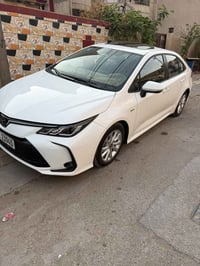 كورلا فول • ٢٠٢٤ • رقم بغداد