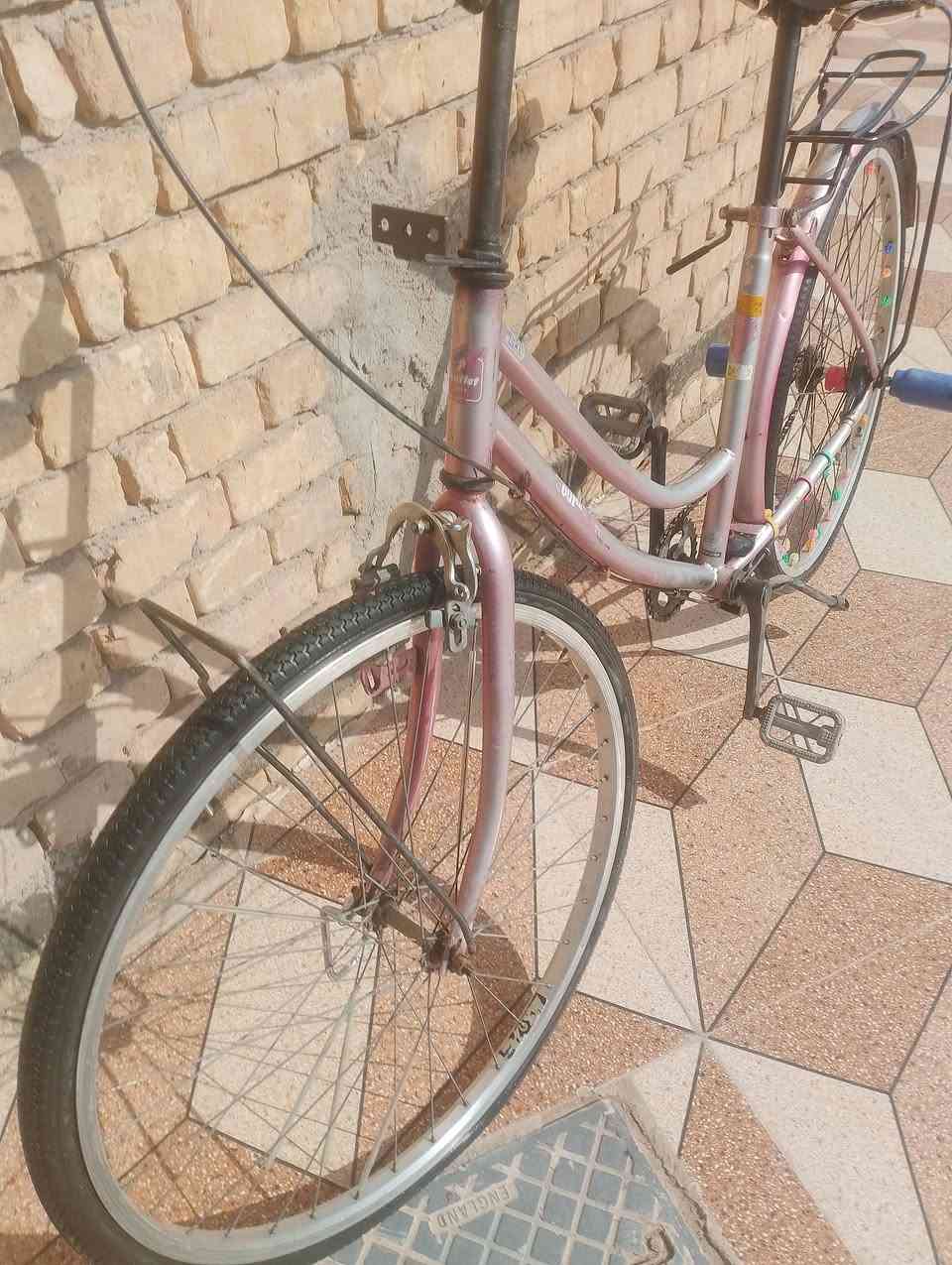 السلام عليكم باسكل 🚲 للبيع سعر خاص الرقم ***********
