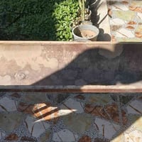 مشوايات • كوت • للبيع