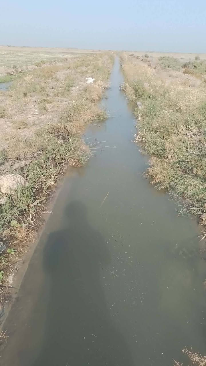 السلام عليكم للإستثمار ٢٠٠ دونم مستصلحه صالحه لزراعة الحنطه ارض خصبه مكروبه ومعدله ليزر الدوله تاخذ ٢٠٠ كيلوا حنطه للدونم الواحد بالتسويق وسعر دونم الايجار ٨٠ الف نقدا والأرض مشموله بالخطه الزراعيه كامله والتسويق يكون بذور ومن الدرجى الأولى مكانه الصويره ٠ الرجاء المايعجبه المنشور يعبره والرزق ع الله تلفون***********
