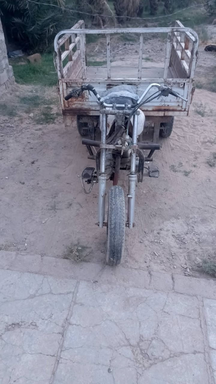 ستوته • شغاله • كامله