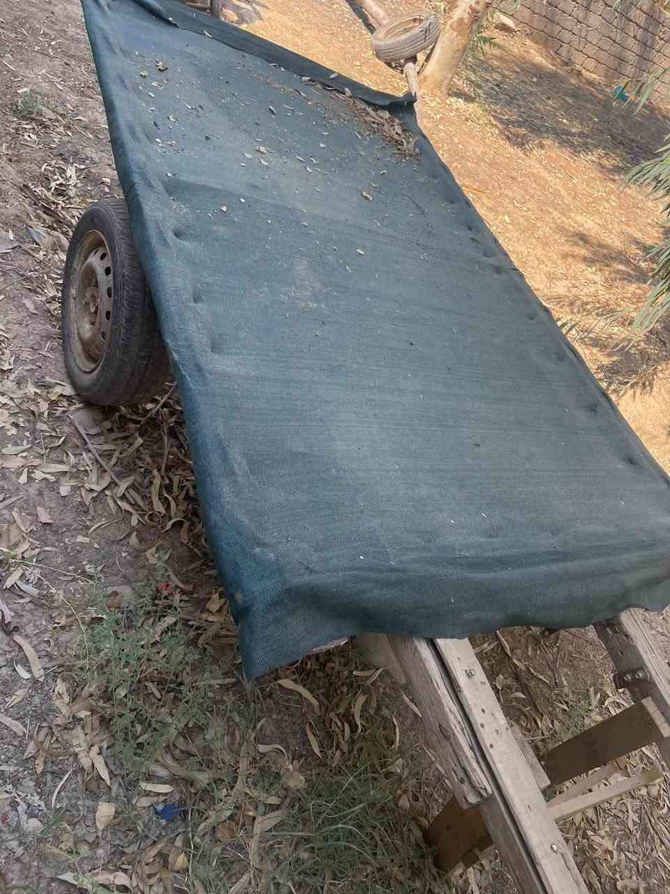قيم بيش تريدهم
