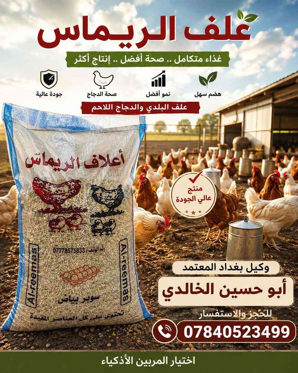 🌿 أعلاف الريماس.. السر الحقيقي لنجاح مشروعك وضاعف أرباحك!
إلى كل مربي دواجن يطمح للتميز والإنتاج الوفير.. هل تبحث عن التغذية المثالية التي تضمن لك صحة قطيعك، سرعة النمو، وأعلى إنتاج للبيض؟
مع أعلاف الريماس (متكامل المراحل، كرزات كتوت ومرحلة ثانية)، أنت توفر لطيوركم غذاءً مدروساً بعناية يحتوي على كل العناصر المفيدة لضمان:
📈 زيادة ملحوظة في الوزن والإنتاج.
🛡️ تحسين المناعة والصحة العامة للطيور.
🥚 إنتاج بيض يومي وفير وبأعلى جودة.
لا تترك نجاح مشروعك للصدفة، اختر الحل الشامل الذي يثق به أهل المهنة واجعل قطيعك في قمة الأداء!
📍 متوفر الآن لدى:
وكيل بغداد المعتمد: أبوحسين الخالدي
📞 للحجز والاستفسار:
***********
نوار الريماس 
اعلاف الريماس
