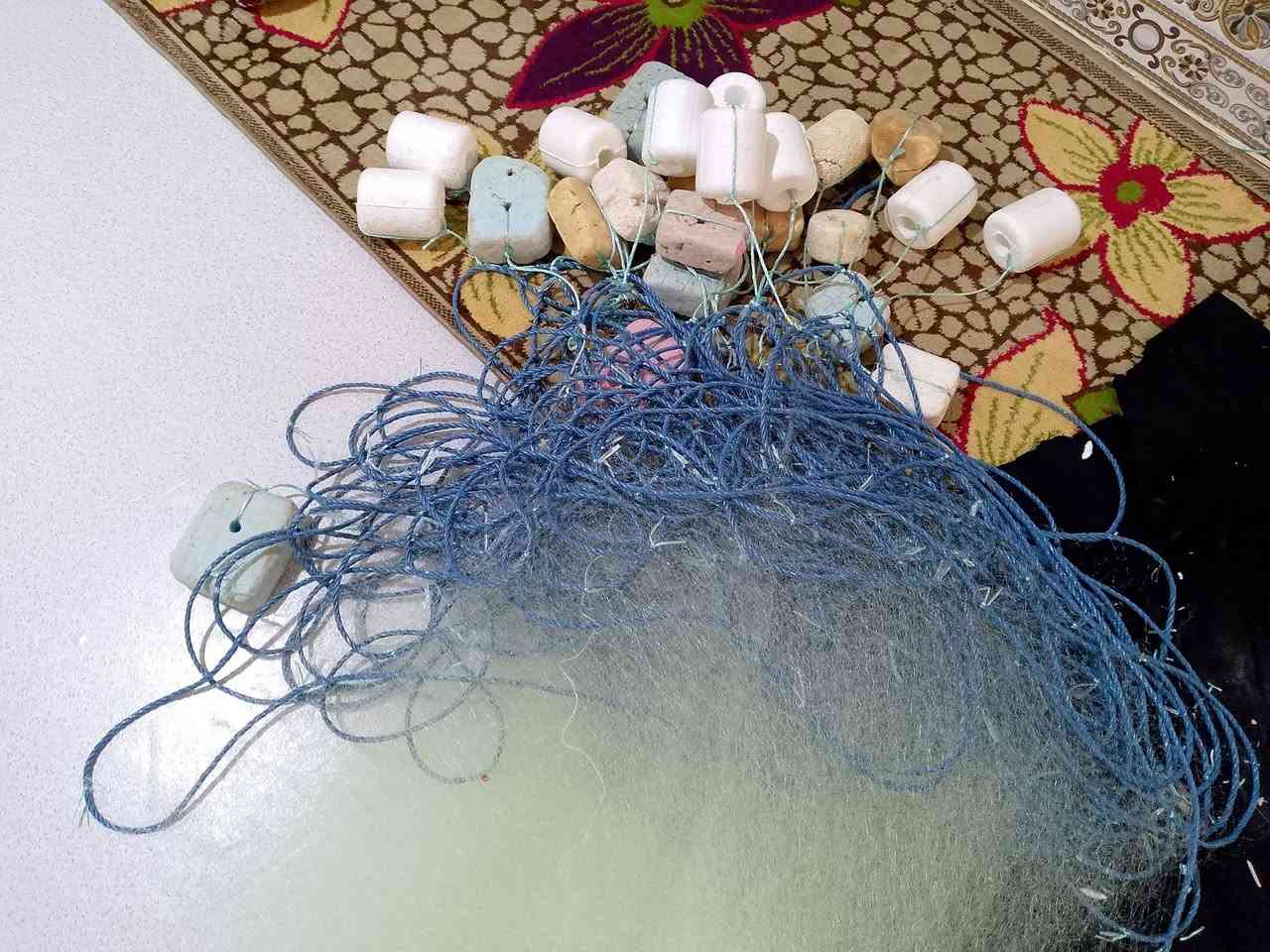 جديد • عين ١٧ • بصرة أبو الخصيب