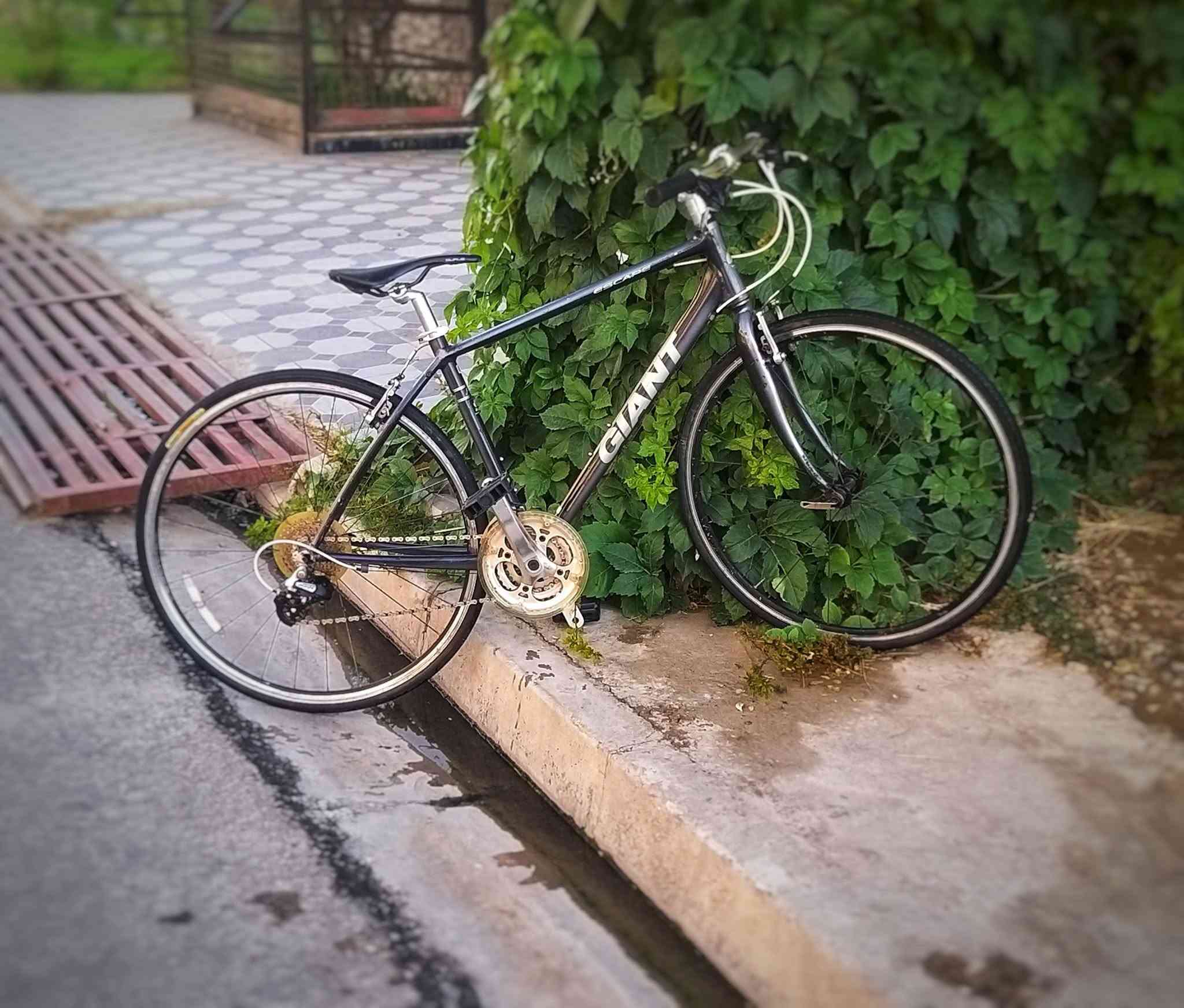 السلام عليكم 🌹
🚲 دراجة ترحال C700 من ماركة GIANT التايوانية 🇹🇼
🔹 الموديل: Giant Escape C700
🔹 نظام التبديل: Shimano
🔹 الهيكل: ألمنيوم
🔹 الويل: من ماركة ZOOM
🔹 8 نمر خلفية + 3 أمامية
🔹 ويل دبل (طبقتين)
🔹 معدن الهيكل: ألمنيوم
💰 السعر مناسب: 200 ألف وقابل للتفاوض
📍 المكان: العراق 🇮🇶 — الموصل، الأيسر
🚫 لا يوجد توصيل
📱 للتواصل واتساب فقط: ***********
