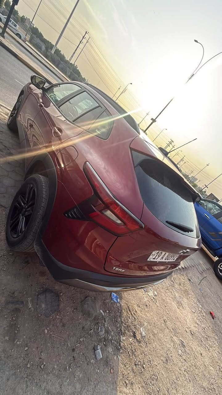 تراكس • ٢٠٢٤ • بدون صبغ