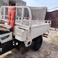 ستوته • ٢٠١٤ • رقم سنويه