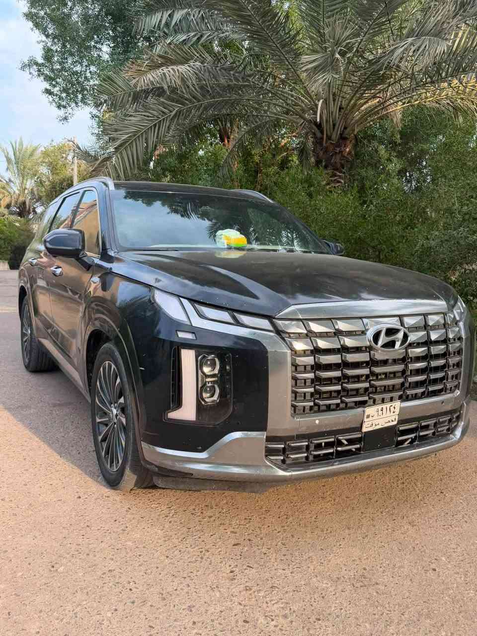 بليسايد كلكرافي • ٢٠٢٤ • وارد أمريكي