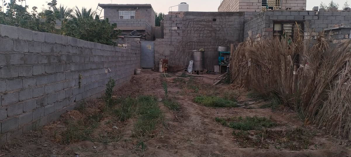 @إشارة 
بيت مع قطعه ينباع كلمن وحد اوثنينهم  للبيع في بابل الحصوه منطقة الاشجيريه قرب السيطره مساحةالبيت 200متر  ومساحة القطعه 120 متر سند25 تحويل مباشر 
التفاصيل يحتوي ع غرفتين ٦ ،٥متر
وصاله ٧.٥م ومطبخ واستقبال ١١ ،٤ م
وصحيات خارجيه البيت يحتاج إكمال نقص سيراميك وسقوف ثانويه او لبخ بناء 2015 خدمات كامله شارع تبليط ماء وكهرباء وكلشي متوفر منطقه هادئه وحلوه
للاستفسار الاتصال على الرقم 
*********** الفلوجة, الأنبار
