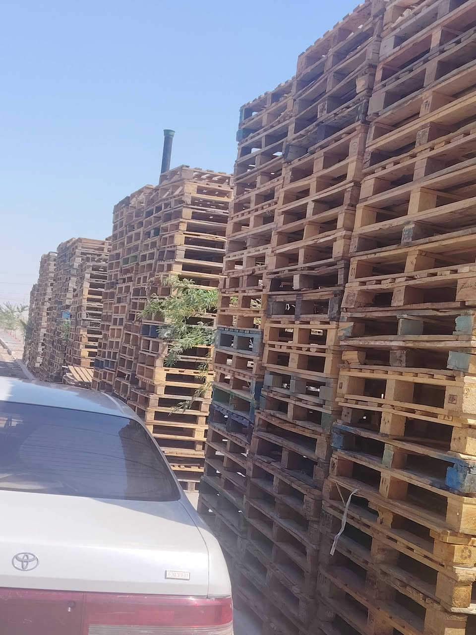 السلام عليكم يوجد سكيب عدد مفتوح مكاني البصره
*********** اتصل وتدلل

