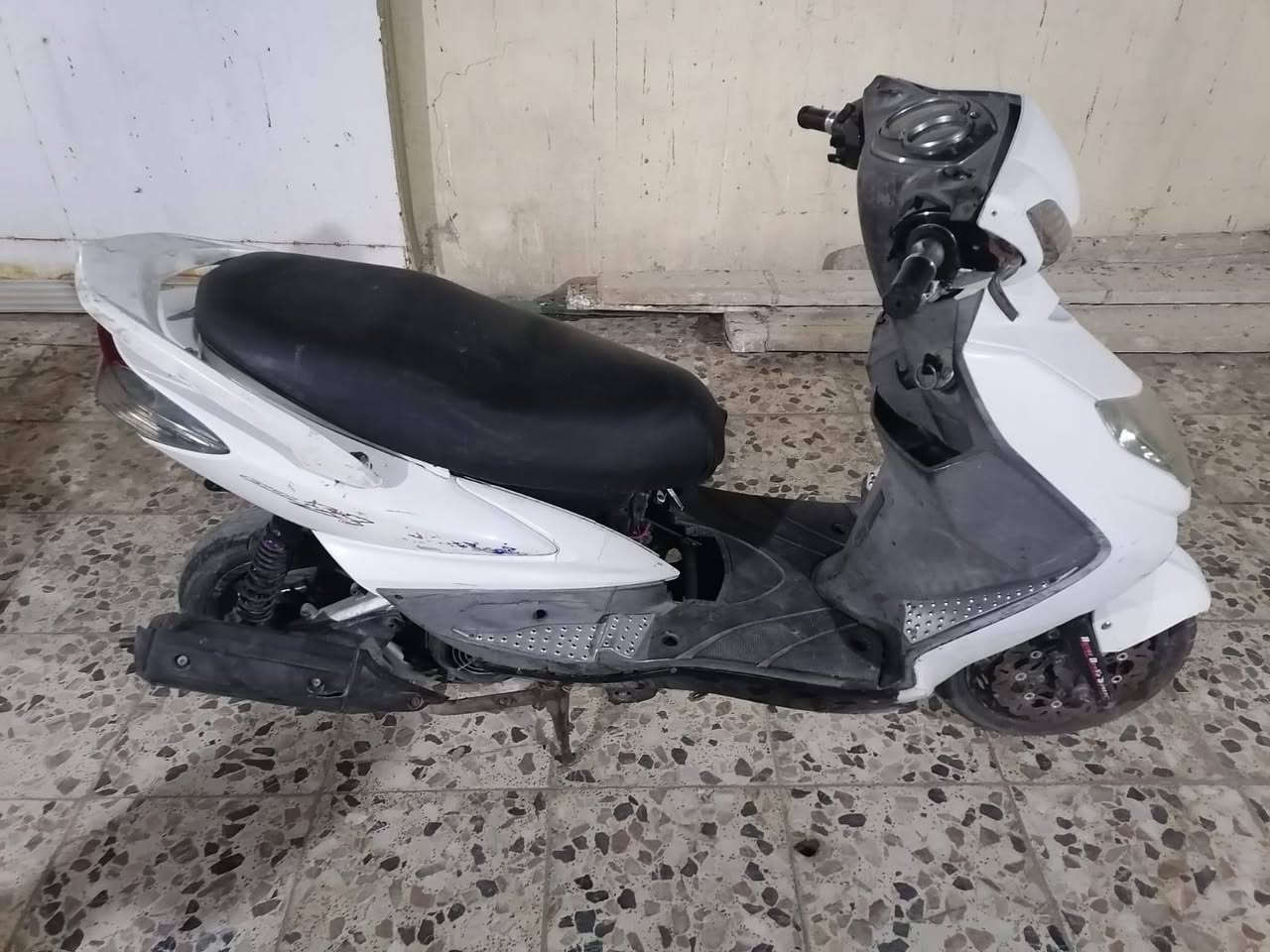 سكنس فحل • نجف • مراوس