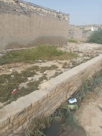 قطع زراعي • ٣٠٠م • للبيع