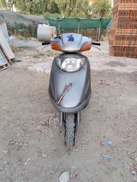 سبيسي • ياباني • زيتوني