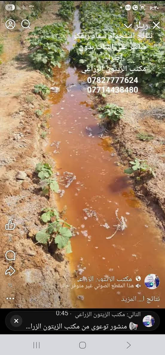 🌿 **سماد ريفكو Reefco العضوي  — متوفر الآن في مكتب الزيتون الزراعي** 🌿

🔥 الموسم الزراعي على الأبواب... جهّز أرضك بأفضل سماد! 🔥

✅ **سماد ريفكو** سماد عضوي  من مخلفات الدجاج
✅ معالج حرارياً ومبستر بالكامل — خالٍ من بذور الأدغال والفطريات والبكتيريا
✅ غني بالمادة العضوية وعناصر التسميد الأساسية NPK
✅ صديق للتربة ويساعد على تحسين خواصها ونمو الجذور
✅ يزيد الإنتاجية ويحسّن جودة المحاصيل
✅ منتج وفق أحدث المعايير العالمية بتقنية المانية 

🌱 مناسب لجميع المحاصيل: الخضروات، البستنة، الحدائق، والمحاصيل الحقلية الحنطة والشعير وإضافة التربة قبل الزراعة وبعد الزراعة أيضا. 

📞 للحجز والاستفسار والتوصيل:
مكتب الزيتون الزراعي بإدارة المهندس **جمال السامرائي**
📱 *********** 
📱 *********** 

📍 فروعنا:
🟢 الصويرة
🟢 الزبيدية
🟢 النعمانية

💯 الجودة الأولى والسعر المضمون — كميات محدودة، اطلب قبل نفاد الكمية!

#سماد_ريفكو #مكتب_الزيتون_الزراعي #السماد_العضوي #الموسم_الزراعي #الصويرة #الزبيدية #النعمانية

نص مكتوب في الصور:
- السعر ٥٠٠٠
- ريلز
- نتائج استخدام سماد ريفكو
- مباشر على النبات بدون أضرار
- مكتب الزيتون الزراعي
- ***********
- ***********
- هذا المقطع الصوتي غير متوفر حاليا
- نتائج ا... المزيد
- التالي: مكتب الزيتون الزراعي . 0:45
- منشور توعوى من مكتب الزيتون الزرا...
- مباشر على النبات بدون
- أضرار
- مكتب الزيتون. الزراعي
- هذا المقطع الصوتي غير متوفر حالياً
- نتائج استخدام سماد ريفكو مباشر على النبات بدون أضرار
- ٤
- ١٤
- التالي: مكتب الزيتون الزراعي 0:45
- 0782777624
- التالي: مكتب الزيتون الزراعي - 0:45