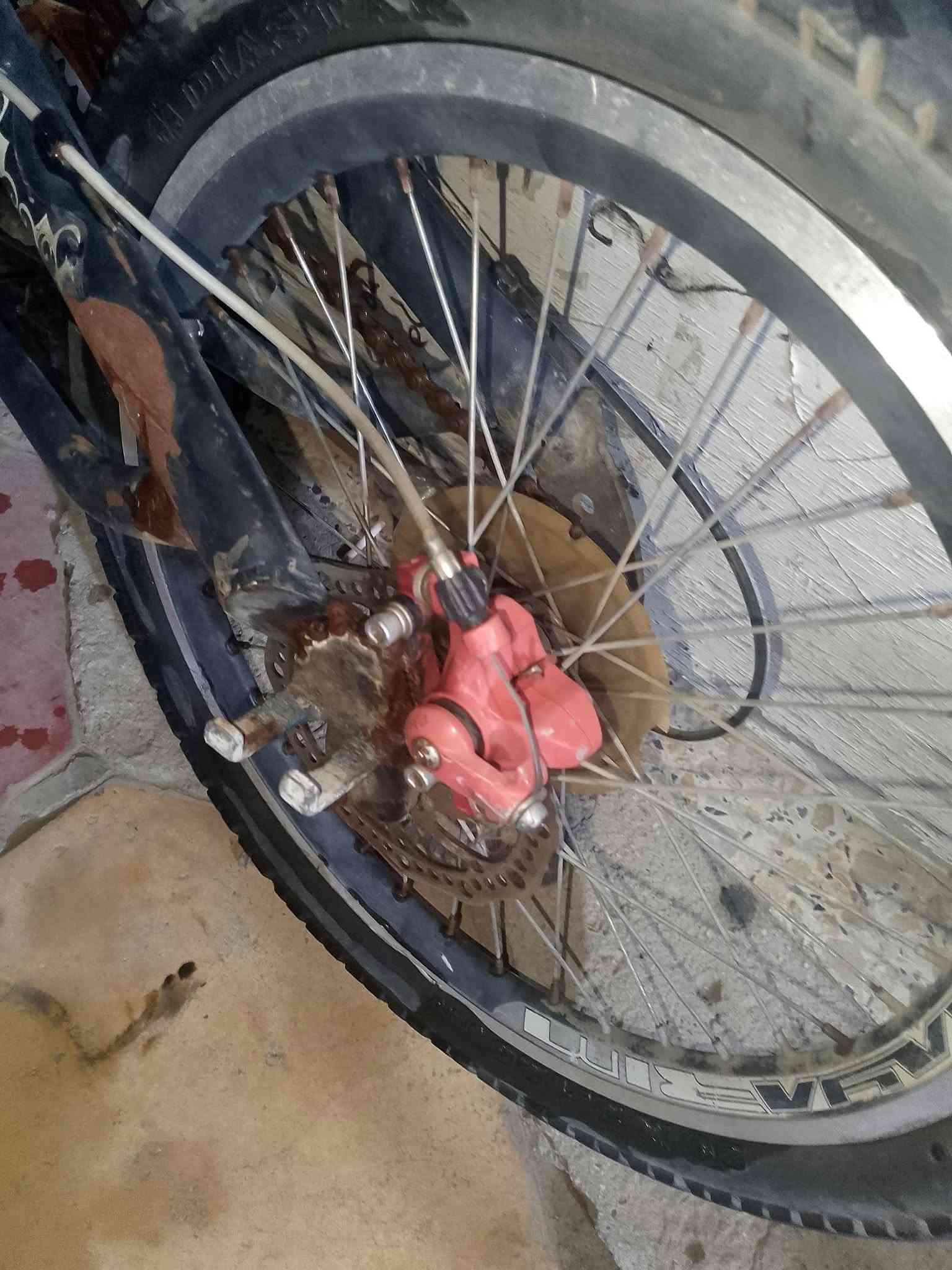 السلام عليكم ورحمه الله وبركاته بايسكل قطعة نضيف ملاحظات ⁦^⁠_⁠^⁩ ... البايسكل يحتاج تأير وجوب .... سعر 55 وبي مجال حك الجية الإتصال على الرقم ***********
