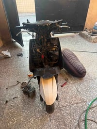 متاح سكنس فحل كابريتر اصلية شلعة معدل خير من الله كفراتهة اصلية غراضهة...