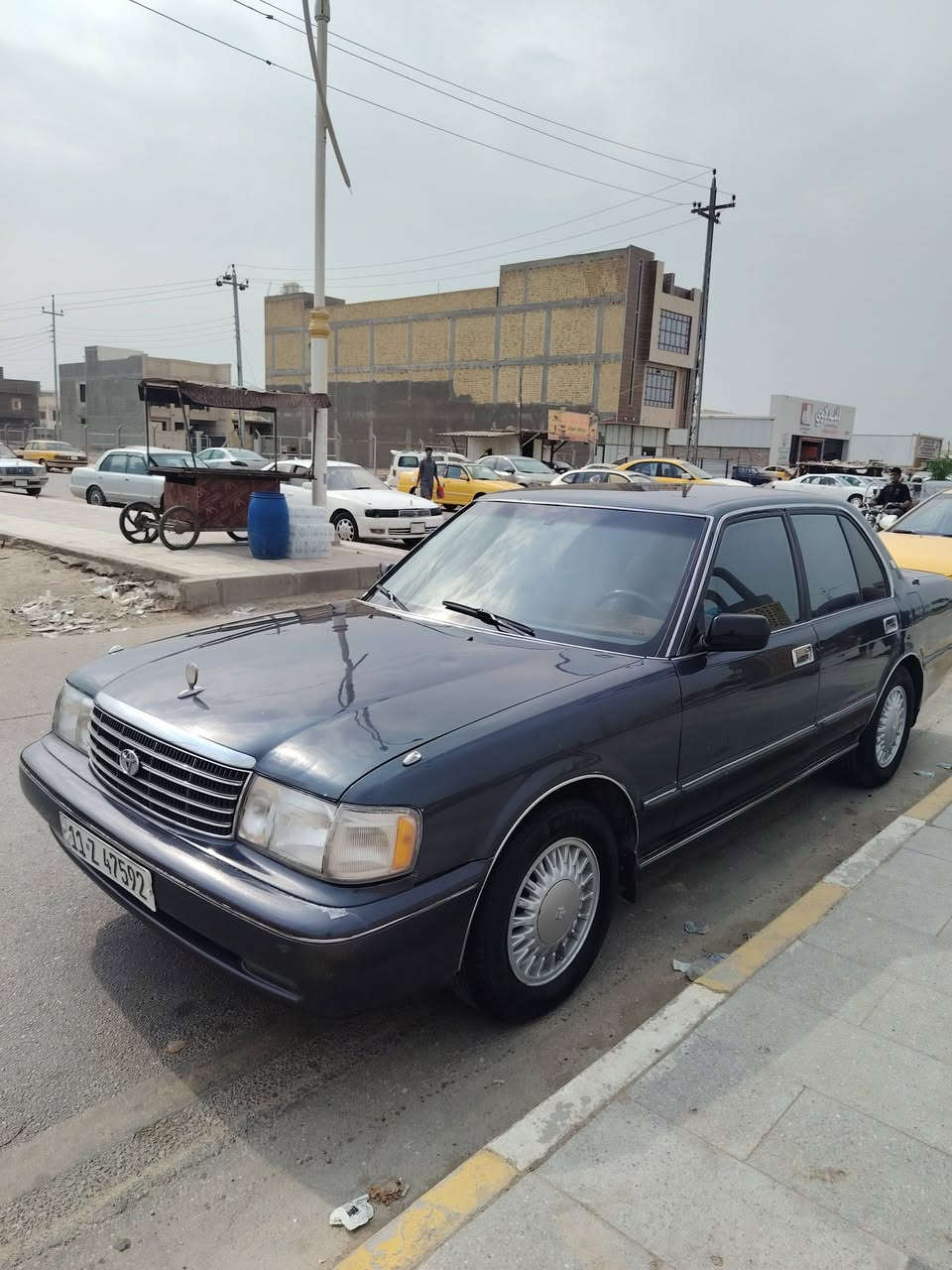 أرنب أيسر • نضيفه • رقم بغداد