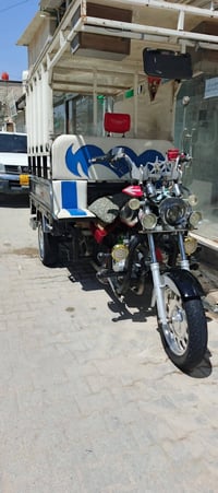 ستوته • ٢٠٢٠ • مكفولة