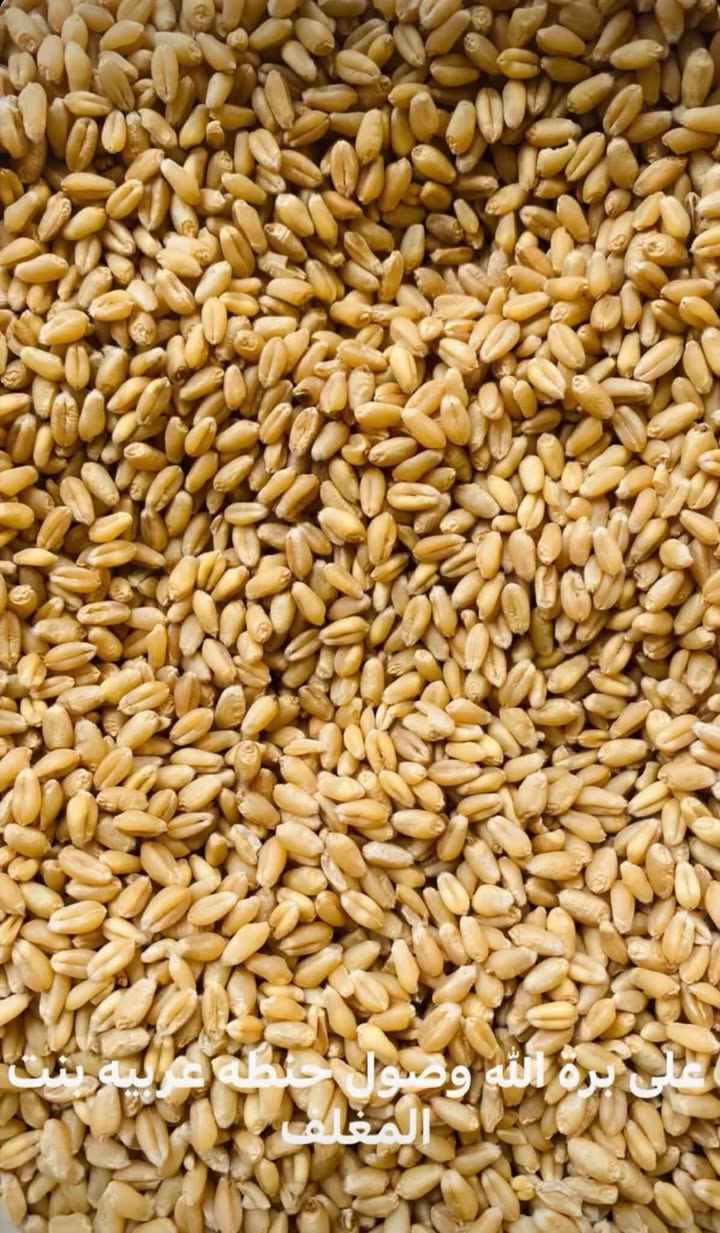حنطة بنت المغلف • حنطة نزار • العزيزية واسط