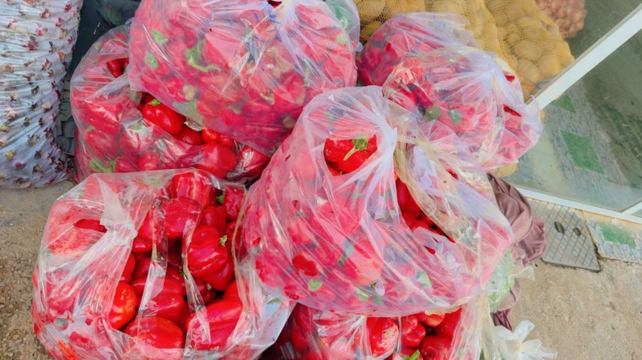 مسواك درجه اولى • راوه الانبار • توصيل راوه