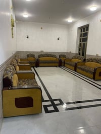 تخم • ١٠ قطع • للبيع