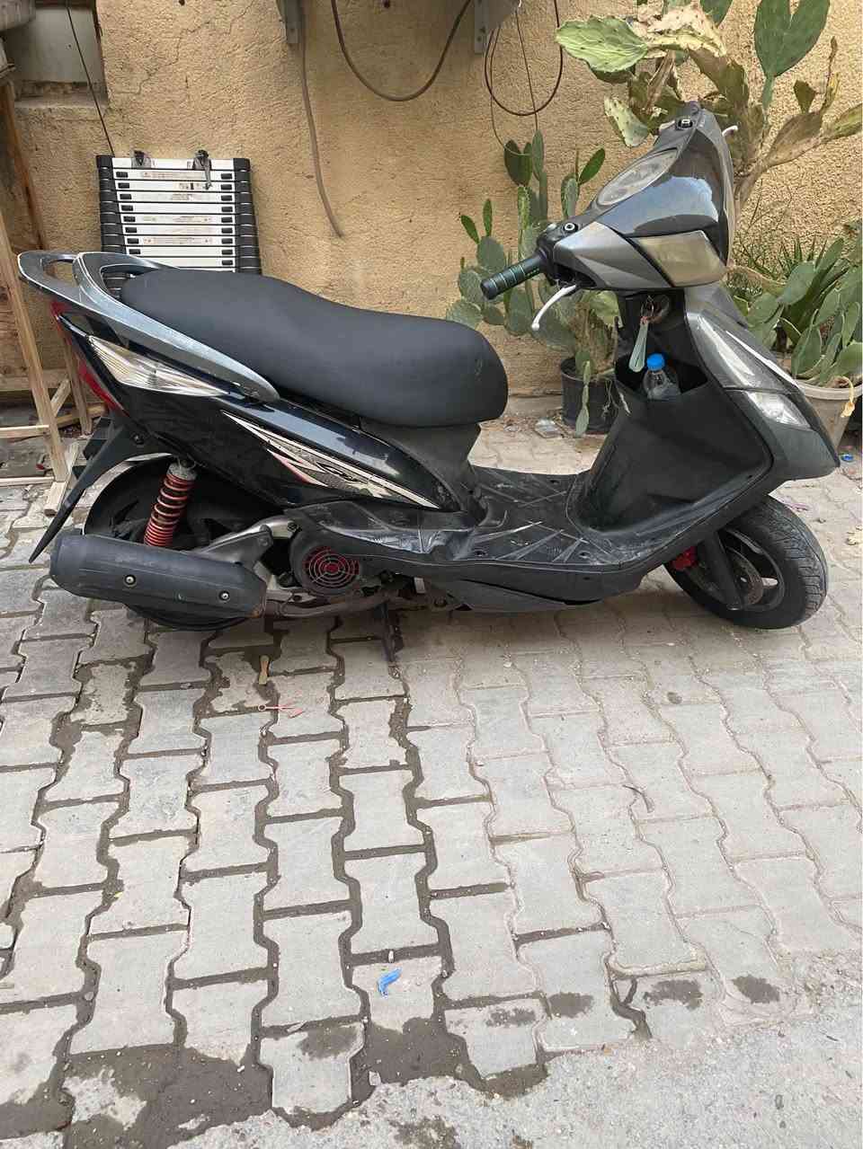 ثعلب للبيع دراجه جديده صارله يومين نازله رمبه مابيه ايشي الدراجه كفاله للاستفسار اتصل
*********** بغداد, العراق
