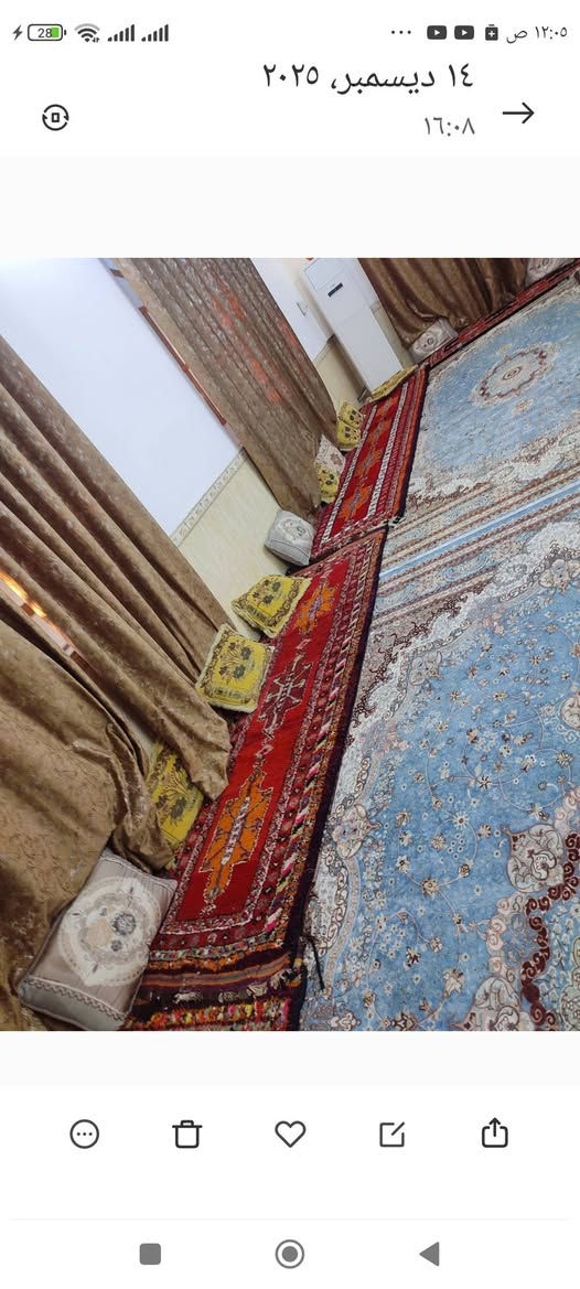 سجاد • للبيع • حسب المقاس
