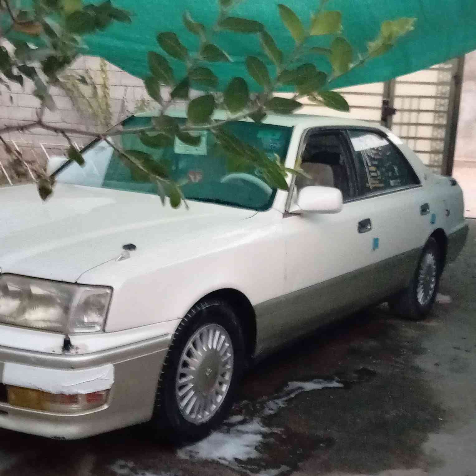 سلام وعليكم سياره راص ثور لبيع جاهزه 
سياره حلوه كلش مكينه 3الاف فيشه وحده
جديده كير جديد تخم تاير حداديه حديده 
تبريد ثلج زنوه شاشه علوان بصره كرمه علي 
لستفسار عل رقم *********** سعر 75
وبيه مجال
