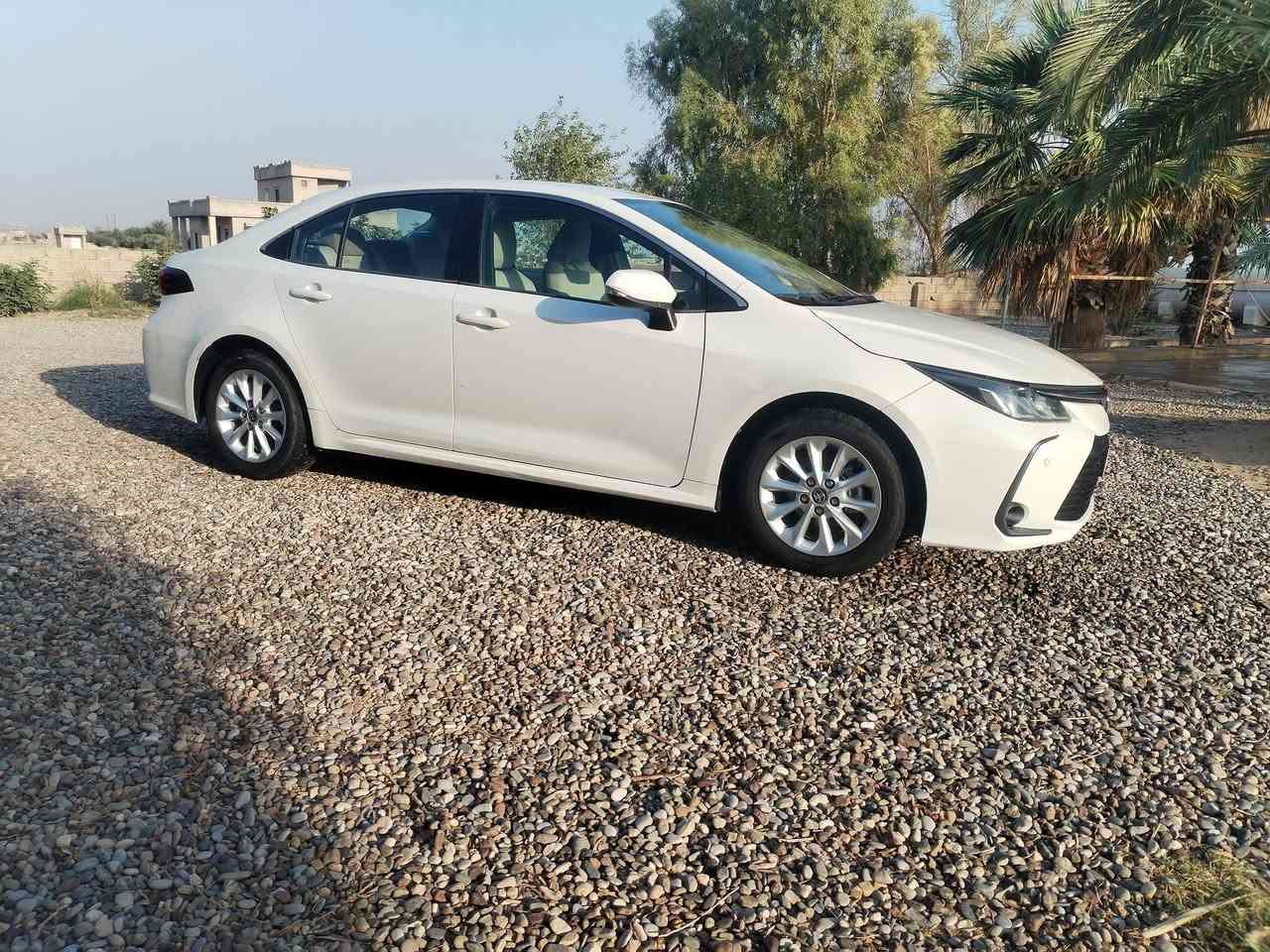 كورله • ٢٠٢٠ • بدون صبغ