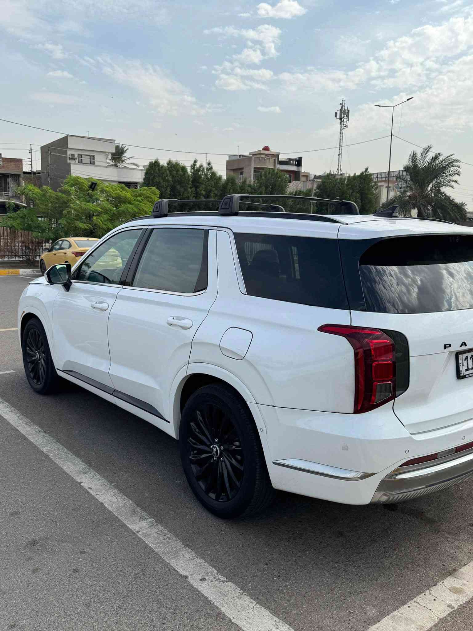 باليسايد • كاليجرافي • ٢٠٢٤