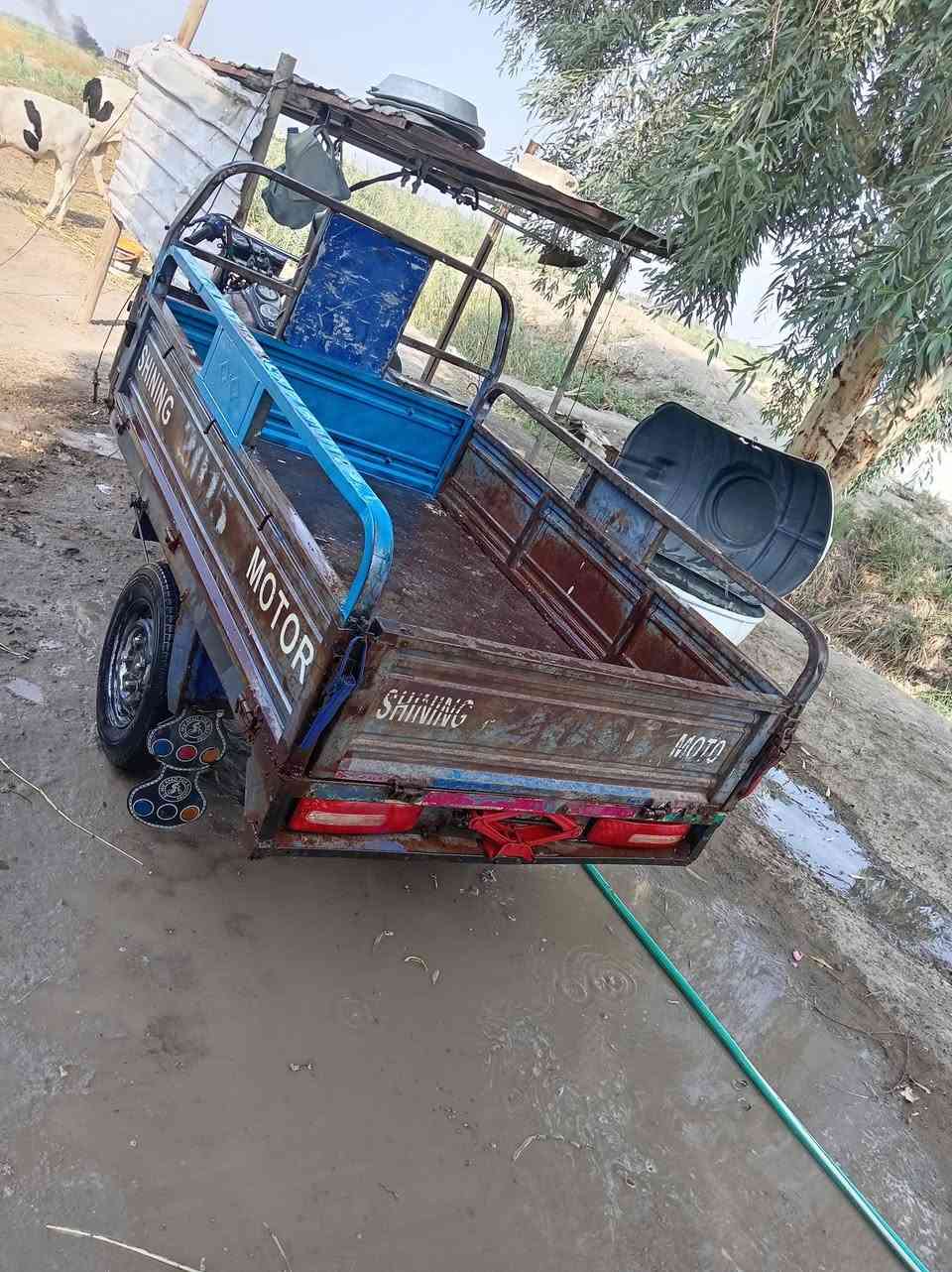 ستوته جمره • ٢٠١٤ • اوراق