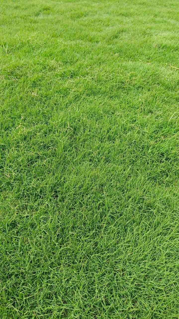أحدث أعمالنا
معه بدايه الموسم نقدم الكم افضل انوع الثيل درجه اولئ
🍀متوفر كافة انواع الثيل🍀 
الثيل امريكي والهندي والايطالي والفرنسي
كادر متخصص :
لتجهيز... مشاتل🌴
والدوائر حكوميه🏦
منازل🏡 منتزهات🏄
موجود خدمة توصيل 🚕🚕
لكل محافظات العراق 
للطلب التواصل مع الصفحة او الاتصال على :؀واتساب   

***********
***********
