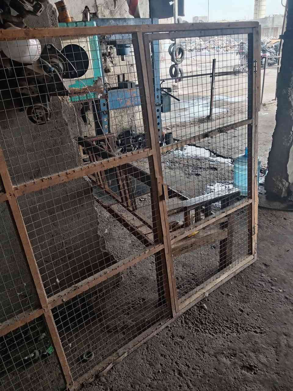 طيور • عصافير • الزعفرانية