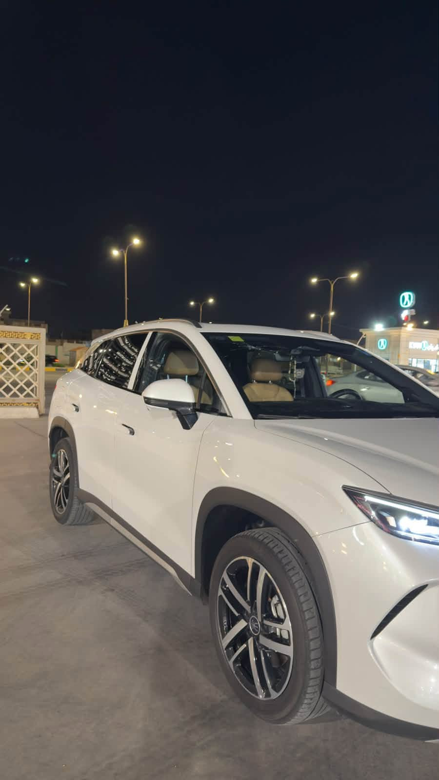 سونج L • ٢٠٢٥ • بطارية ١٢٠كم