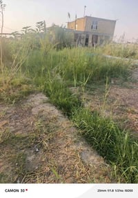 نص دونم • فلاح • زراعة