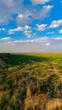 كاع للبيع 47دونم جاهزة للزراعة بيها نهر خاص ومتؤفر بيها ماي بالفجر بال...