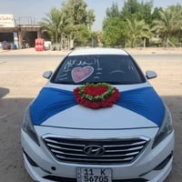 سوناتا وارد امريكي • ٢٠١٦ • مكفول صبغ
